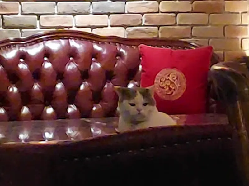 澗面小酒館 Bar & Cafe 照片 7