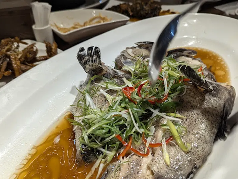 【腹響圓上海食府】亞太十大名廚｜頂級江浙料理｜上海名菜 (推薦 公館商圈 台大附近 捷運站美食 餐廳) 照片 9