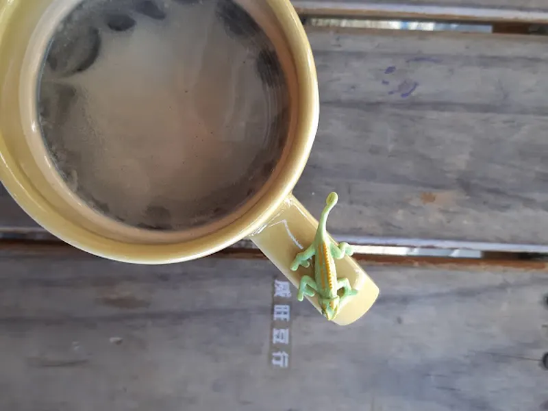 威旺豆行 照片 9