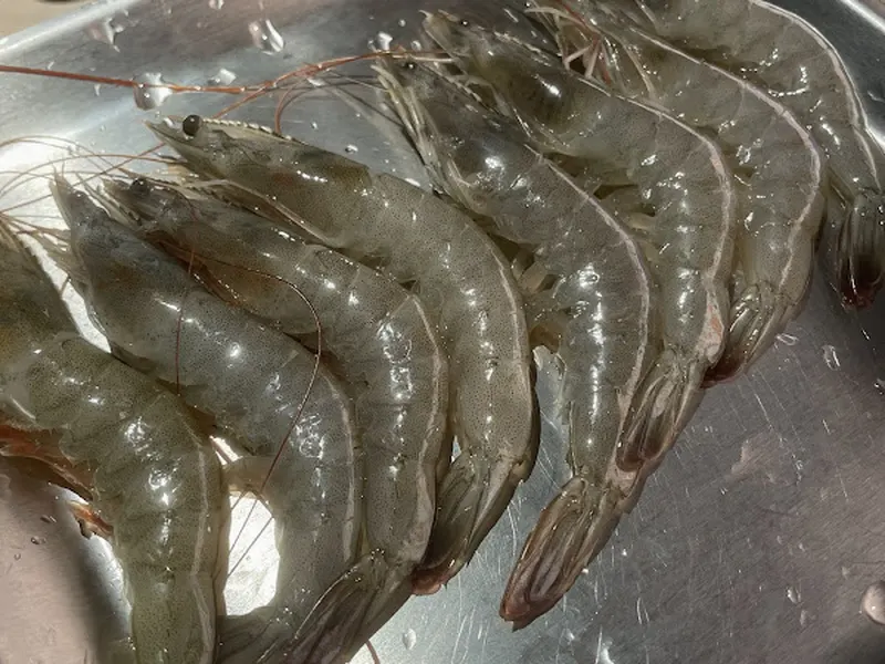 熊一頂級燒肉-台大店 照片 5